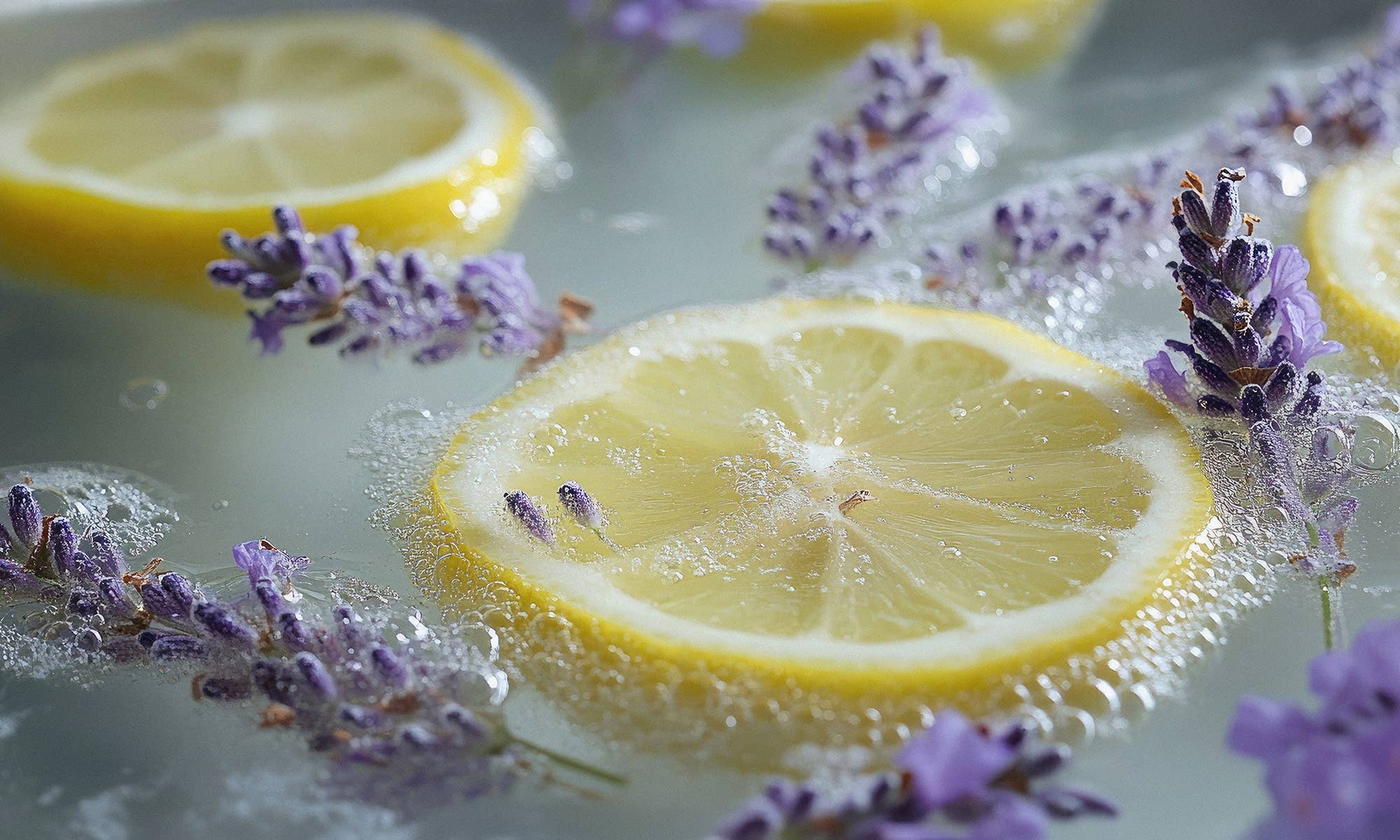 16 oz Butter Jar Candle: Citrus & Lavender